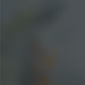 Meet your Posher, Abbie